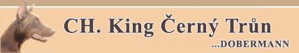 Logo-dobermann-king-eu.jpg