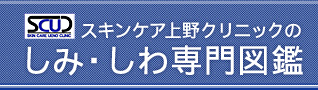 Logo-scu-cl-com.jpg