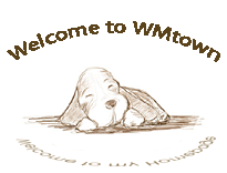 Logo-wmtown-org.gif