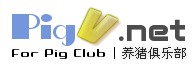 Logo-pigv-net.gif