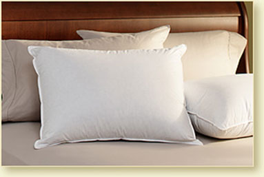 White-goose-down-pillow.jpg