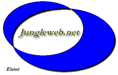 Logo-jungleweb-net.gif