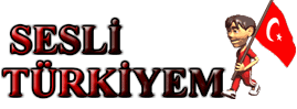 Logo-sesliturkiyem-com.gif