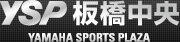 Logo-yspprince-com.jpg