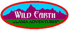 Logo-llamaadventures-com.gif