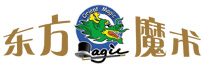 Logo-dfmagic-com.gif
