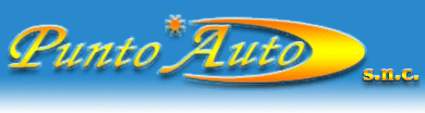 Logo-puntoautosnc-it.png