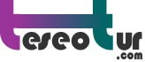 Logo-teseotur-com.jpg