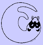 Logo-hillcrestferrets-com.gif