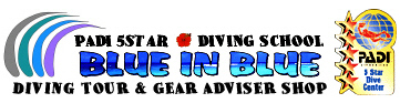 Logo-blueinblue-jp.jpg