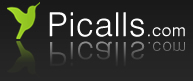 Logo-picalls-com.png