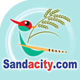 Logo-sandacity-com.jpg