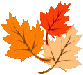 Logo-standridge-name.gif