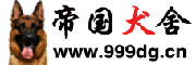 Logo-999dg-cn.gif