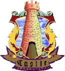 Logo-castle-pro-com.gif