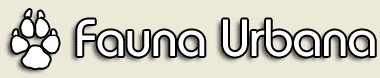 Logo-furry-com-br.gif