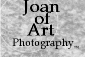 Logo-joanofartphotography-com.gif