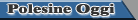 Logo-polesineoggi-it.gif