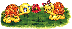 Logo-tartarughine-com.gif
