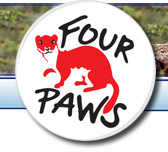 Logo-vierpfoten-org.jpg