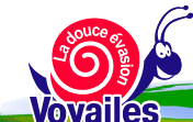 Logo-voyailes-fr.gif