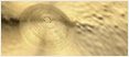 Logo-cymbalforum-com.gif