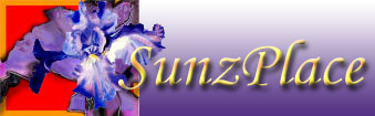Logo-sunshynkid-com.jpg