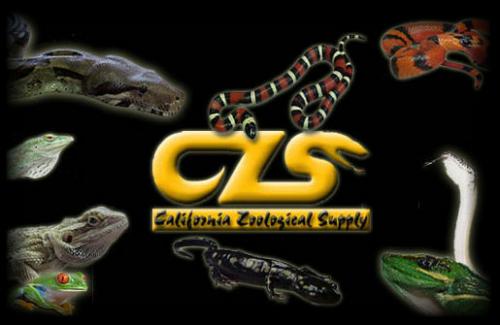 Logo-calzoo-com.jpg