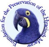 Logo-hyacinthmacaw-org.jpg