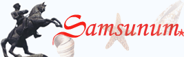 Logo-samsunum-com.gif