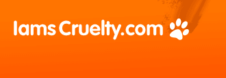 Logo-iamscruelty-com.gif