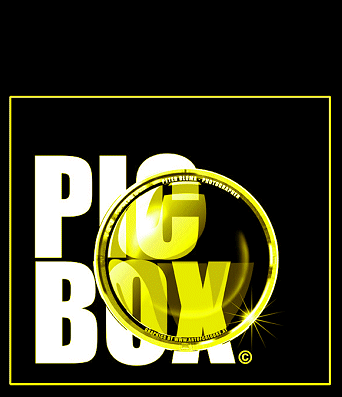 Logo-picbox-net.gif