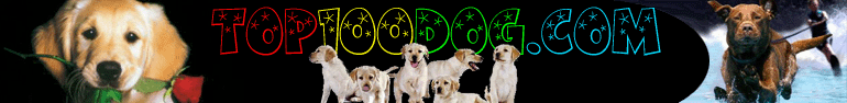 File:Logo-top100dog-com.gif