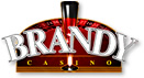 Logo-brandy-network-com.jpg