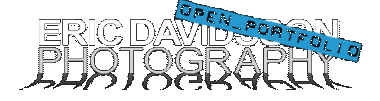 Logo-ericdavidsson-se.gif