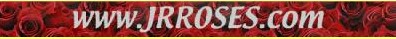 Logo-jrroses-com.jpg