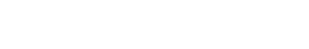 Logo-wiredfool-com.png