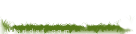 Logo-haddaf-com.png