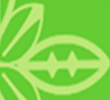 Logo-pistachiotreeranch-com.png