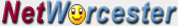 Logo-networcester-com.jpg