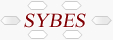 Logo-sybes-nl.gif