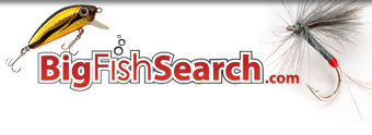 Logo-bigfishsearch-com.gif