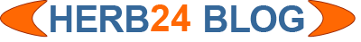 Logo-herb24-kaufberatung-com.gif