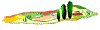 Logo-sinalunga-org.gif