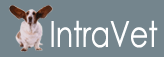 Logo-intravet-com.gif