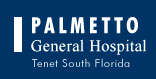 Logo-palmettogeneral-com.gif