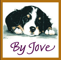 Logo-byjove-net.gif
