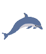 Logo-dolphinhosting-org.gif