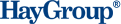 Logo-haygroup-co-jp.gif
