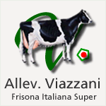 Logo-viazzani-com.gif